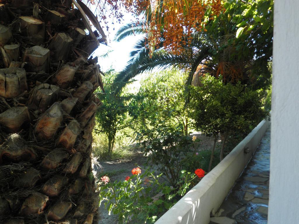 Mavrikou Helen Apartments Skyros Rum bild